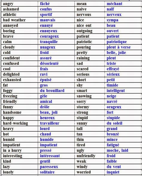 Learn French French Adjectives