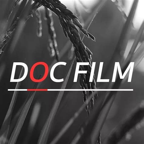 Dc Doc Film