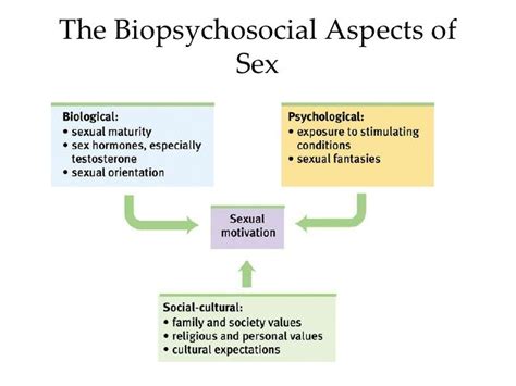 Introductory Psychology Sex