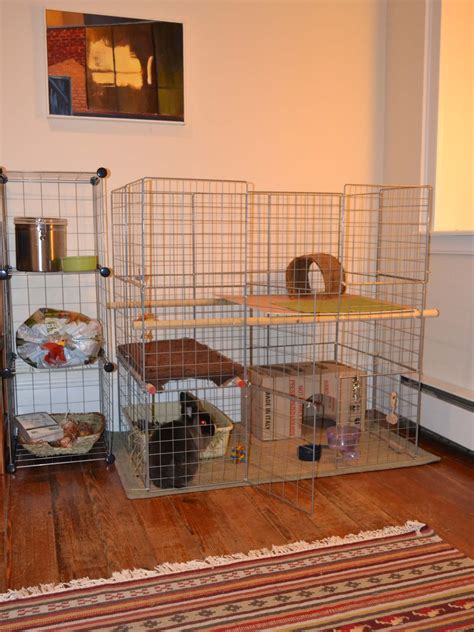 Diy Indoor Rabbit Cage Pin On Home Build And Decorate After A Certain