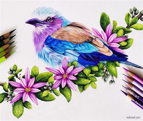 Newest Flying Bird Color Pencil Drawing Techniquetutorial Book For 38280 Hot Sex Picture
