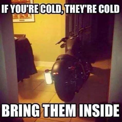 If You Re Cold They Re Cold Bring Them Inside