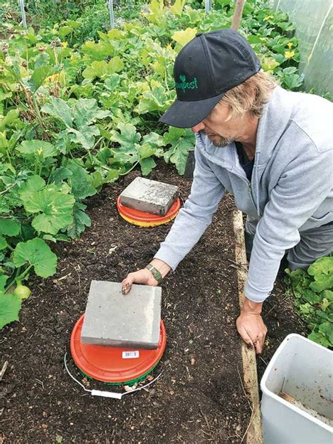 Diy Build An Underground Worm Farm Suitable For A Cold Climate Worm