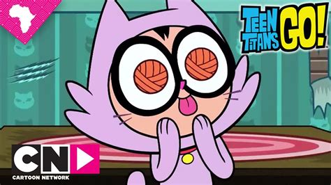 Cat Lady Teen Titans Go Cartoon Network Youtube