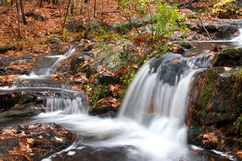 Free Picture Small Waterfall Autumn Season Forest Water Stream