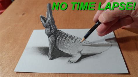 No Time Lapse Trick Art Drawing 3d Crocodile Youtube