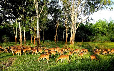 Wildlife Sanctuaries In India India Travel Guide