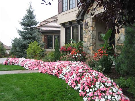 Landscaping Plants For Front Of House Landscaping Ideas For Front