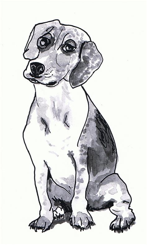 Drawing Of A Dog