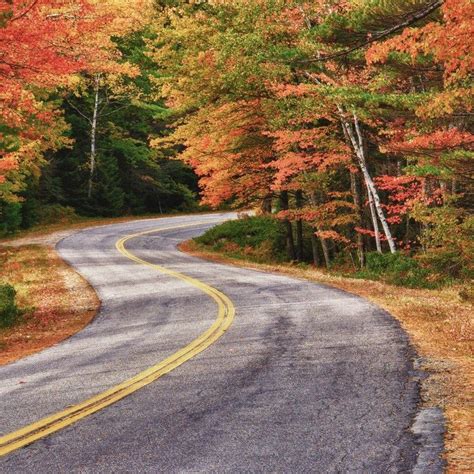 The Most Scenic Maine Fall Foliage Road Trip Fall Foliage Road Trips