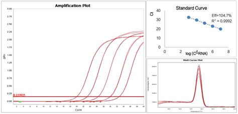 SYBR Green Pro Taq HS 预混型 qPCR 试剂盒含示踪染料含 Rox 艾科瑞生物