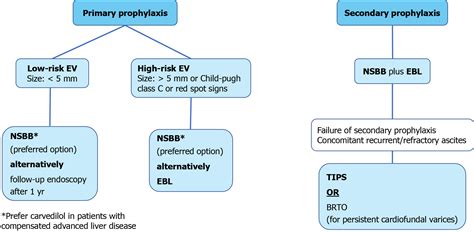 Clinical Algorithms For The Prevention Of Variceal Bleeding And