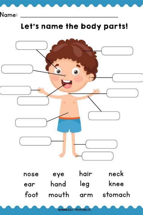 Inglés Cuerpo Humano Biblioeems English Worksheets For Kindergarten