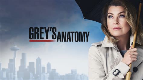 grey s anatomy 12ª temporada chega em setembro na netflix