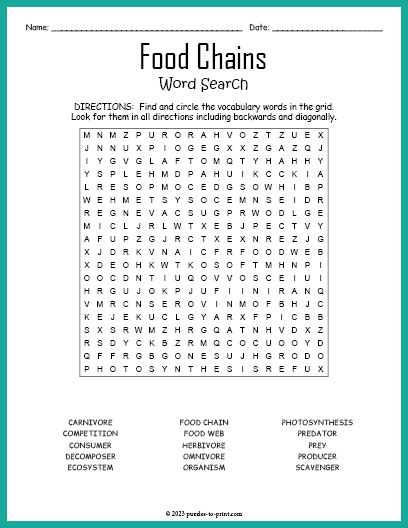 Food Chains Word Search