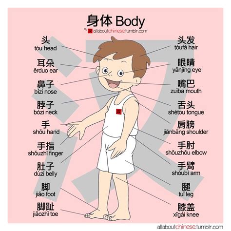 Part Of Body Mandarin Version~ Lets Try To Learn
