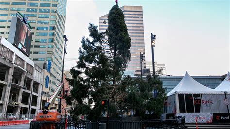 Cincinnati Christmas Tree In Fountain Square Comes With Jokes In 2020