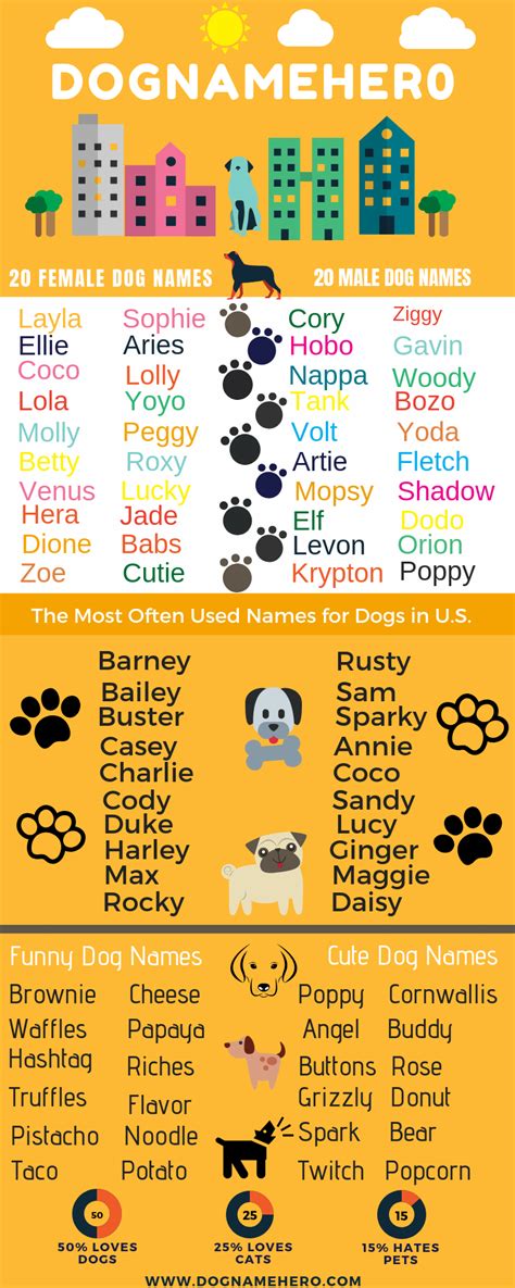 Funny Female Dog Names