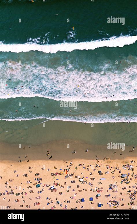 People Sunbathing On Bondi Beach Hi Res Stock Photography And Images
