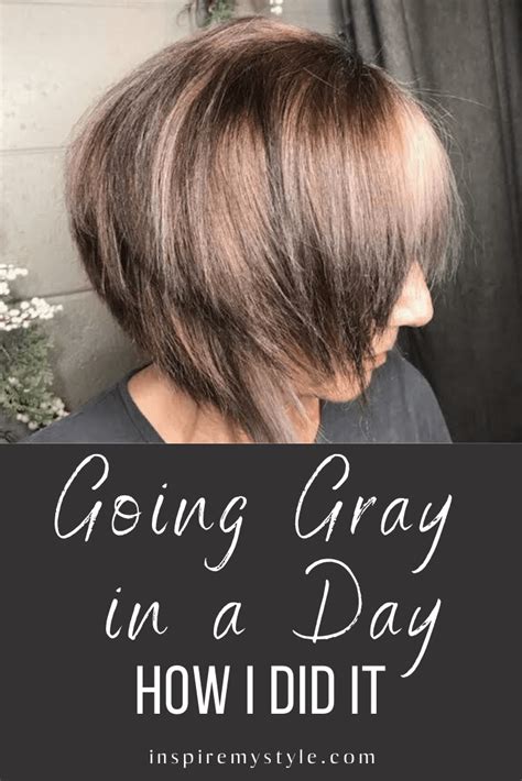 How To Go Gray Quickly My Experience Going Gray In A Day Hair Color