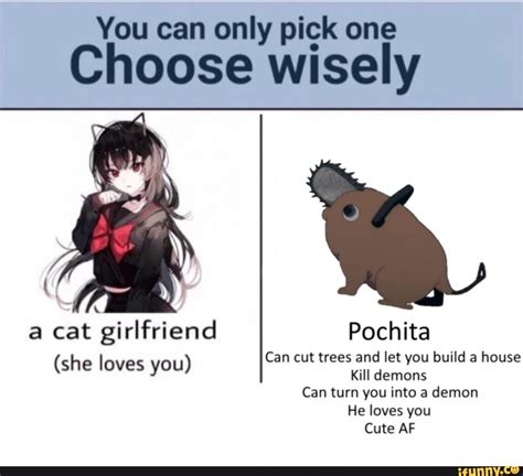 You Can Only Pick One Choose Wisely A Cat Girlfriend Pochita Can Cut
