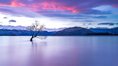 2560x1440 New Zealand Lake View 1440p Resolution Wallpaper Hd Nature