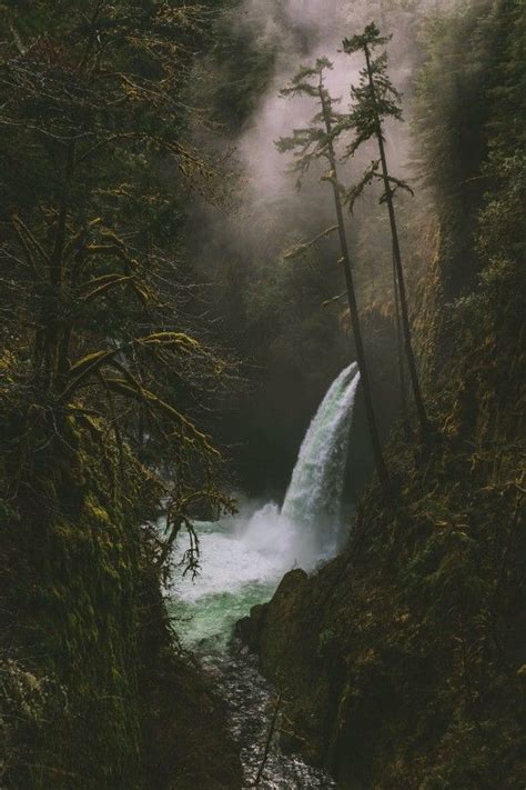 Waterfall Mist Trees Dark Green Aesthetic Nature Aesthetic Pretty