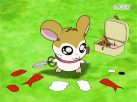 Pashmina And Penelope The Hamtaro Wiki Fandom