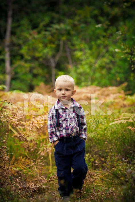 Boy In The Woods Stock Photo Royalty Free Freeimages