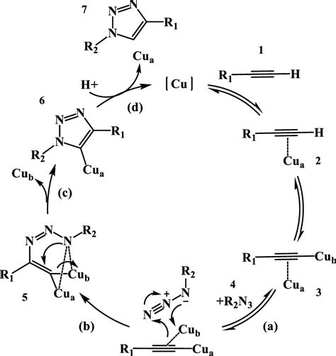 Copperi Catalyzed Alkyneazide Cycloaddition Cuaac “click” Reaction
