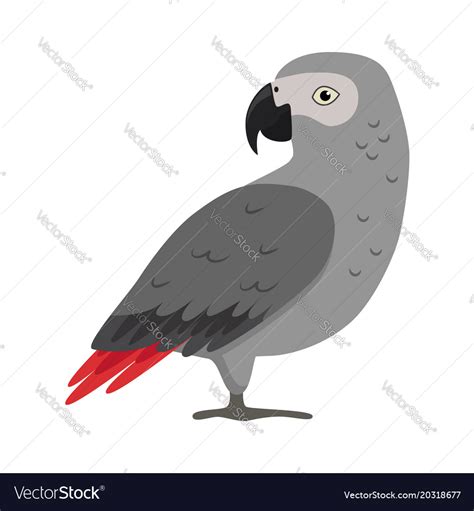 African Grey Parrot Silhouette Icon In Flat Style Vector Image