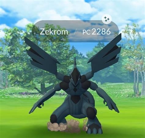 How To Get A Shiny Zekrom In Pokemon Go Wingg