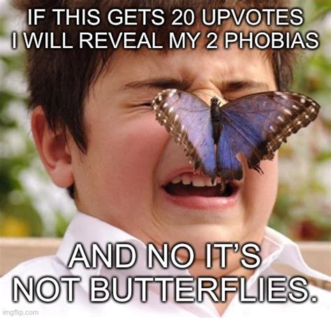 Image Tagged In Scary Butterfly Imgflip