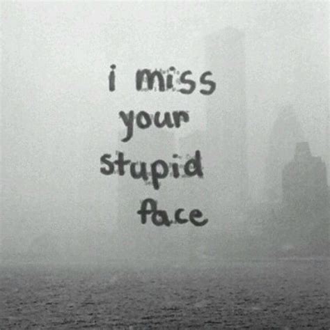 I Miss Your Stupid Face Pictures Photos And Images For Facebook
