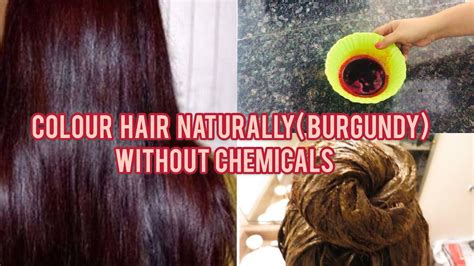 Diy 100 Natural Homemade Hair Colour With Heenano Chemicals