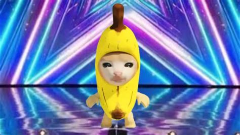 Banana Cat Sings Happy Happy Song At America S Got Talent YouTube
