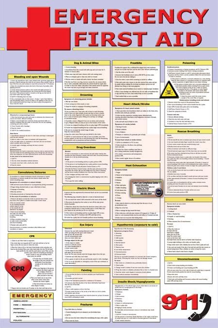 Pocket First Aid Guide Pdf