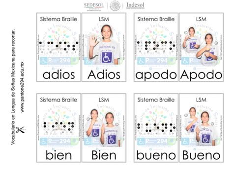 Cursos Lengua de Señas Mexicana en línea GRATIS Proyecto Pantone AC