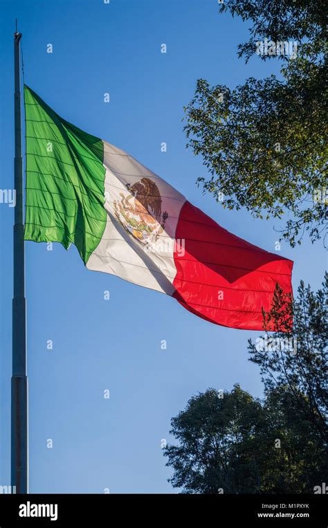 Kaktus Flagge Fotos Und Bildmaterial In Hoher Auflösung Alamy