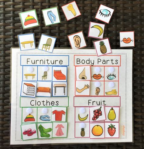 Category Matching Activity 4 Categories And 24 Pictures Etsy