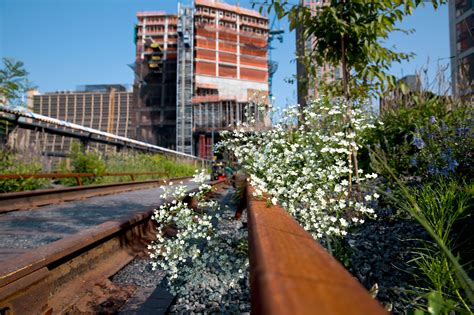 Unruly Final Section Of High Line To Open The New York Times