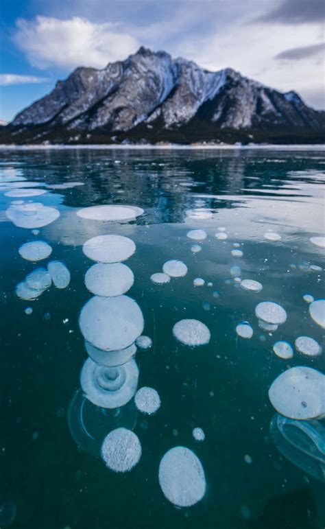 Abraham Lake Ice Bubbles Explore Nordegg And Abraham Lake