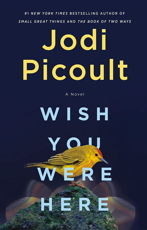 Famed Author Jodi Picoult Novelizes The Pandemic In New Book Wish You Were Here