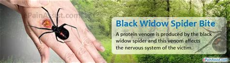 Black Widow Spider Bite Treatment Spider Bite Skin Conditions