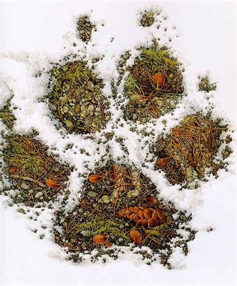 The earth is my mother (closeup 5) bev doolittle (born february 10, 1947) is an american artist working mainly in watercolor paints. Pin by Jeff H on Art That Interests Me | Bev doolittle ...