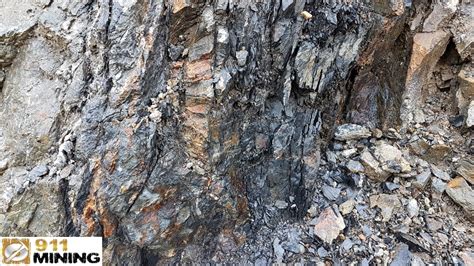 Prospecting An Outcrop With Small Veins Containing Free Gold Youtube