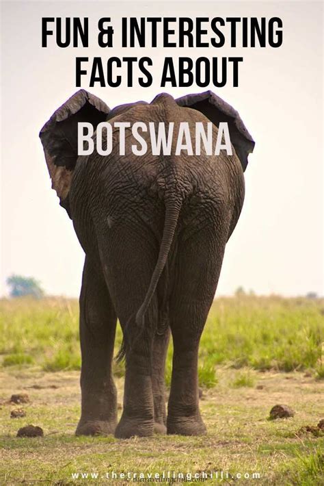 Interesting Facts About Botswana Botswana Facts Chobe National Park