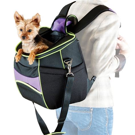Best Dog Carrier Hiking Backpacks Ruby Cavalier King Charles Spaniel