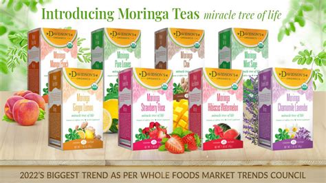Davidsons Organics Debuts Moringa Teas From ‘miracle Tree Of Life