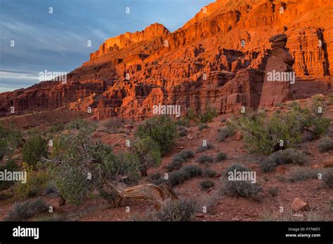 The Fisher Towers Glow In Sunset Moab Utah Stock Photo Alamy